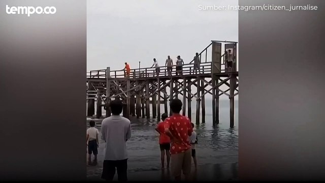 Paus Terdampar di Banyuwangi, Dievakuasi Warga Namun Gagal