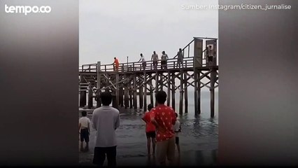 Paus Terdampar di Banyuwangi, Dievakuasi Warga Namun Gagal