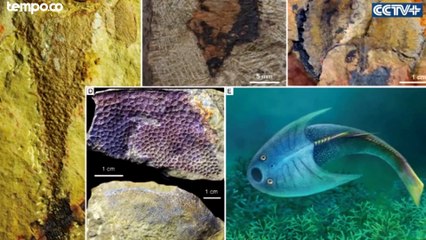 Lembah Sungai Yangtze, Dasar Laut Dangkal 438 Juta Tahun Lalu