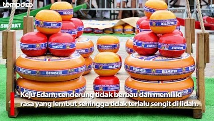 Ragam Keju Terpopuler Untuk Masakan Lezat