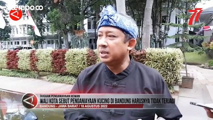 Wali Kota Bandung Sebut Kasus Penembakan Kucing Oleh Brigjen NA Harusnya Tidak Terjadi