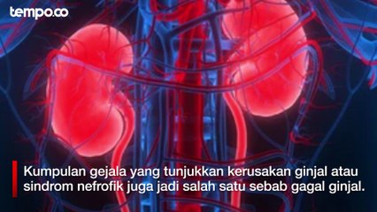 Sejumlah Penyebab Gagal Ginjal Terjadi di Usia Muda
