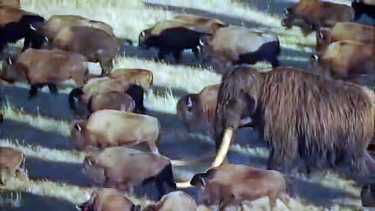 Ice Age Giants Saison 1 - Trailer (EN)