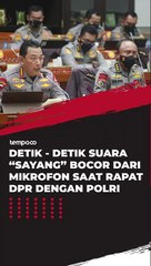 Detik - Detik Suara  Sayang Bocor Dari Mikrofon Saat Rapat DPR Dengan Polri
