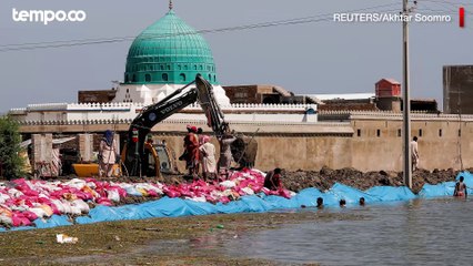 Download Video: Banjir Pakistan Disebut Malapetaka Iklim, Lebih dari 1.100 Jiwa Tewas