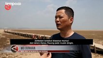 Jembatan Berumur 400 Tahun Muncul dari Danau yang Mengering di China