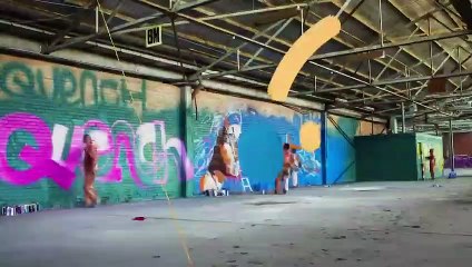 Perro conduce auto y se hace viral