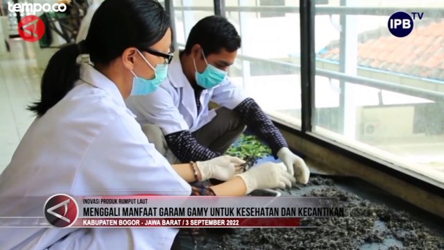 Peneliti IPB University Kembangkan Manfaat Garam Rumput Laut