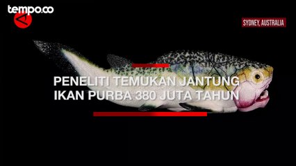 Peneliti Temukan Jantung Ikan Purba Berusia 380 Juta Tahun