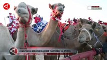 Mengenal Balap Unta Olahraga Tradisional Negara-negara Arab