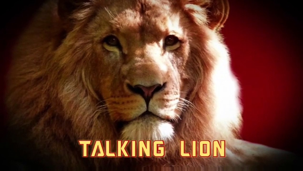 TALKING LION