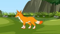 হাঁসের ফাঁদে শিয়াল | Fox in a Duck trap | Notun Bangla Golpo | Duck Cartoon | Fairy Tales | Ducklings