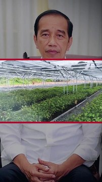 Jokowi Tetap Inginkan Pembangunan Infrastruktur Terus Berjalan