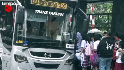 Hampir Satu Tahun Beroperasi, Layanan Transpakuan Masih Gratis