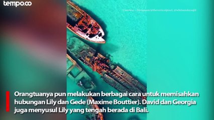 Lokasi Syuting Film Ticket To Paradise Bukan di Bali, Ini Keindahan Kepulauan Whitsunday