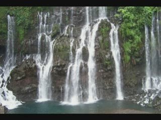 Rougail maloya dodo sya_0001