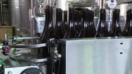 Sulfitos preocupam peritos de segurança alimentar