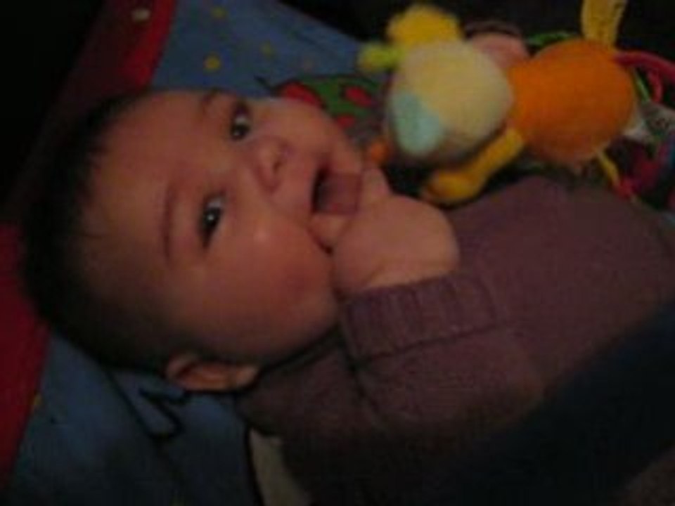 Photo 007