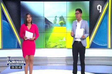 "Proyecto callejero Perú": piden ayuda para albergue que refugia perros y gatos