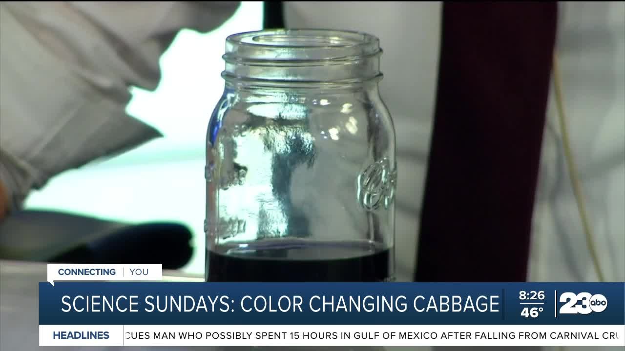 Science Sunday: Color changing cabbage