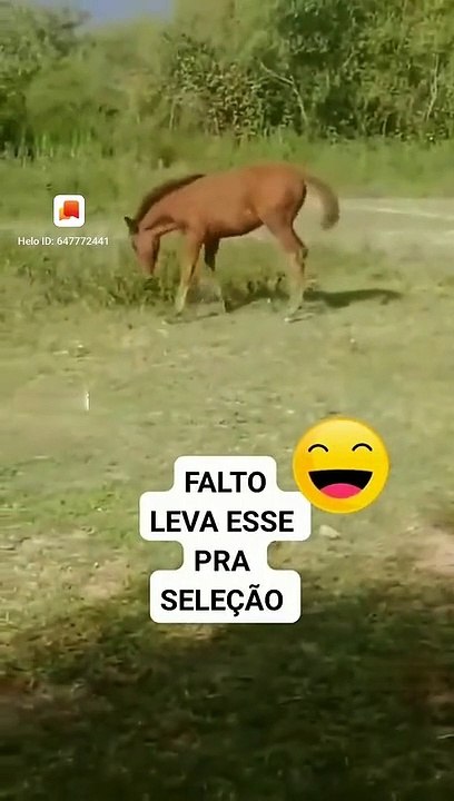 Status #374