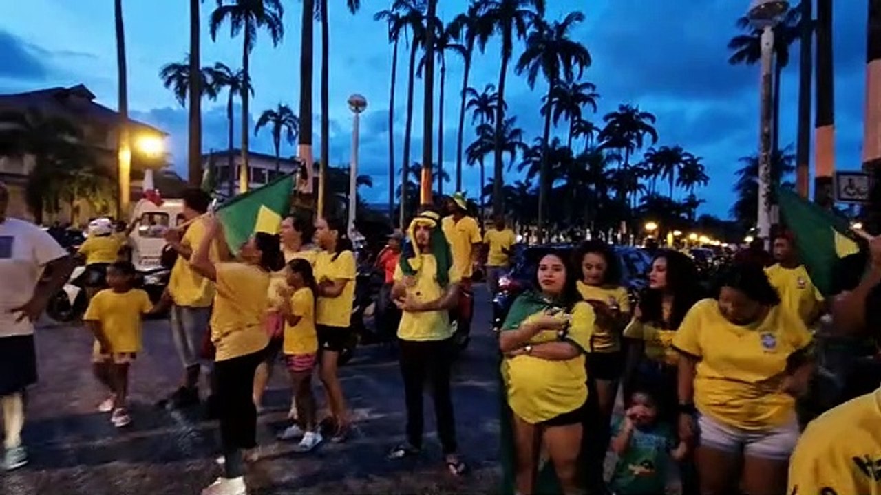 Supporters Brésil