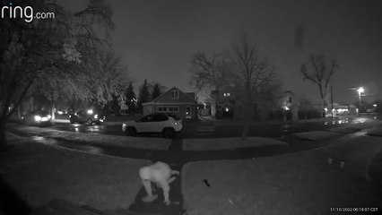 Slick Steps From Ice Storm Surprise Man Walking to Truck