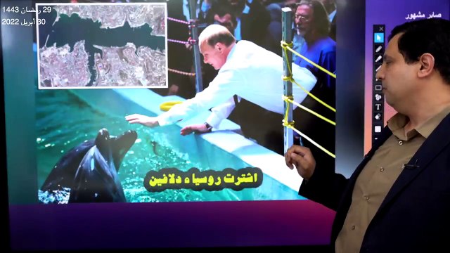 روسيا تلجأ للدلافين لحماية أسطول البحر الأسود من هجمات أوكرانيا