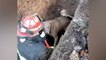 Moment firefighter rescues dog trapped in drain