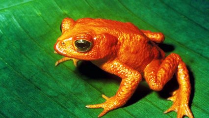 Water Life - Uncertain Water