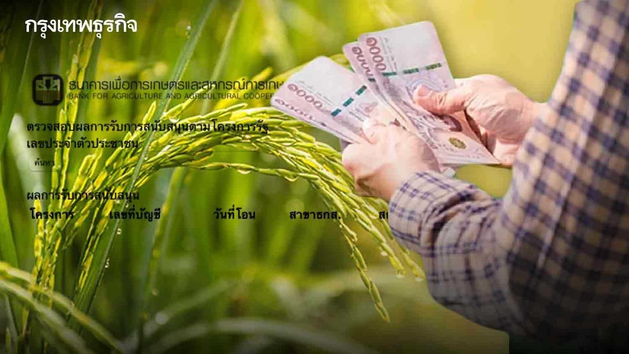 ยังไม่ได้เงิน! ประกันรายได้ข้าว ปี 65 เงินช่วยเ...