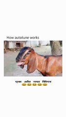 instagram viral reels new singer ka new Song