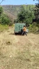 फिर रणथम्भौर की टीम ही बनी तारणहार