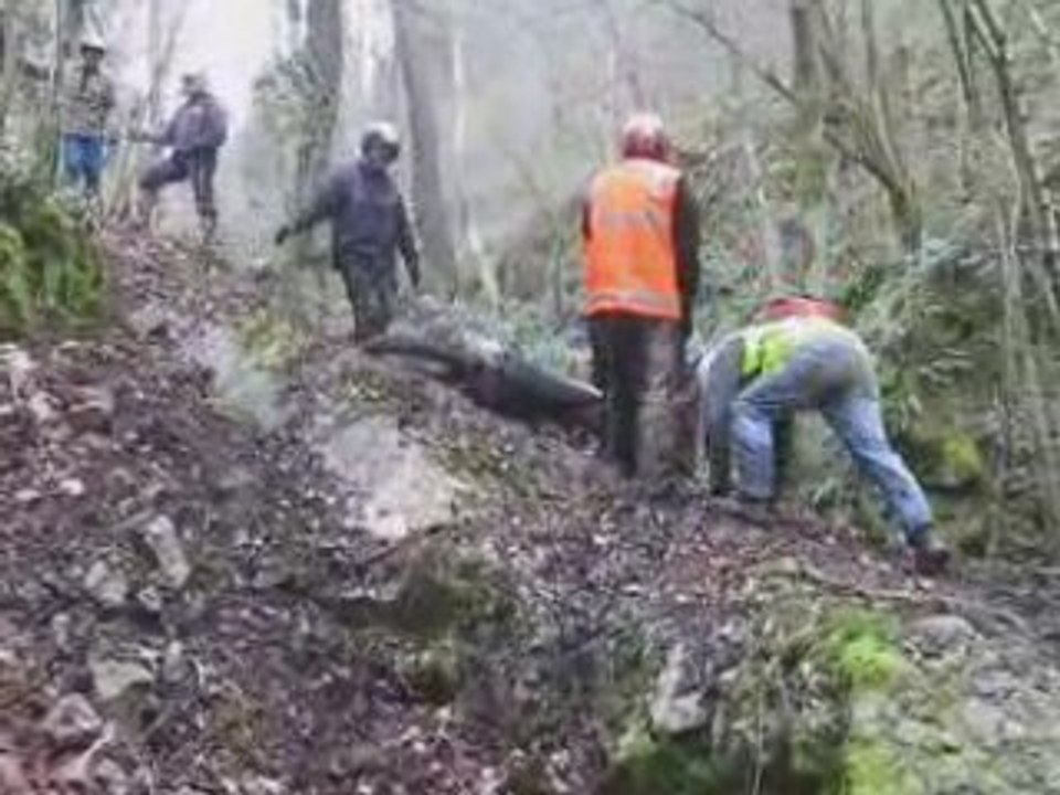 Philou le roi du deux roues