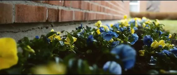 Le vieux qui ne voulait pas fêter son anniversaire Bande-annonce (IT)