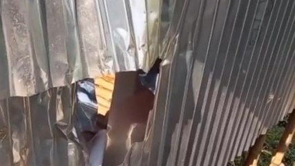 পূর্ববর্ধমান: মাঝরাতে তুমুল হাঙ্গামা, মারপিট, ভাঙচুর! তেতে আছে কালনা