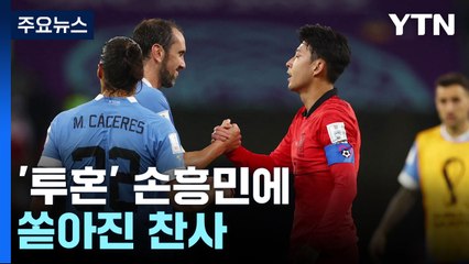 손흥민 '투혼'에 쏟아진 찬사...조규성은 '관심 폭발' / YTN