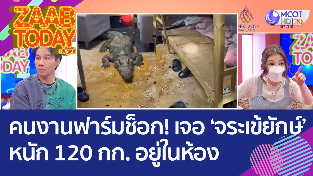 คนงานฟาร์มช็อก! เจอ 'จระเข้ยักษ์' หนัก 120 กก....