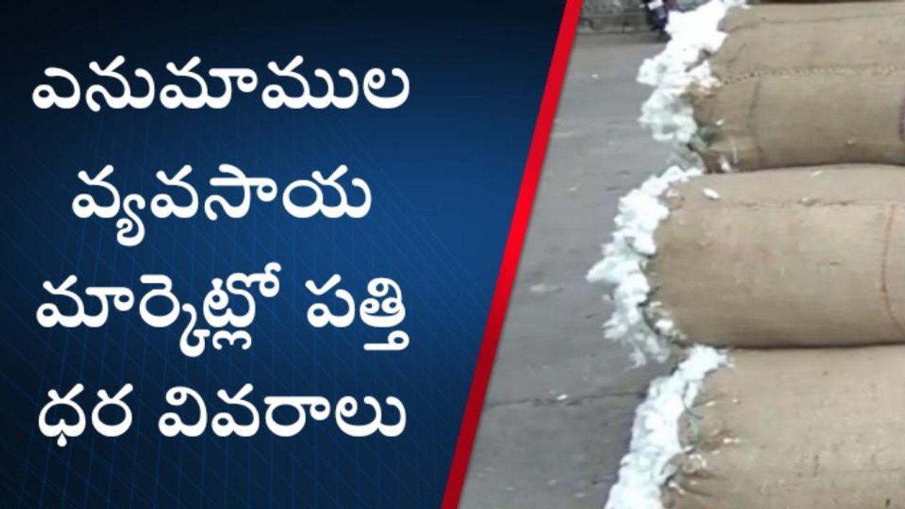 వరంగల్ ఈస్ట్: అన్నదాతలకు ఊరట.. స్వల్పంగా పెరిగిన పత్తి ధర