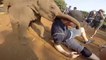 baby Elephant attacking on the man | animals attack