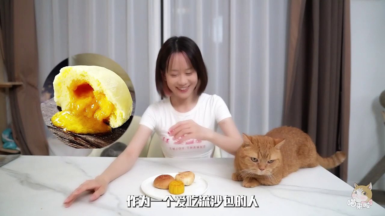 CATS FUNNY 6