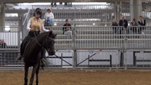 Equitazione, Di Paola 