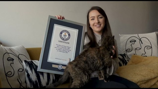Ha 26 anni il gatto più vecchio del mondo, è nel Guinness