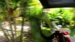 Australie: Un jeune garçon âgé de cinq ans a survécu après avoir été mordu, enserré et entraîné dans une piscine par un python - VIDEO