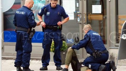 Did You Know? A Dead Mosquito || FACTS || TRIVIA