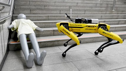 인천 부평역 지하상가에 등장한 첨단 로봇들 🤖 시민 편의 향상 기대!