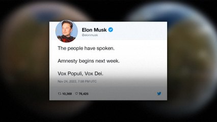Elon Musk kündigt Amnestie für gesperrte Twitter-Konten an