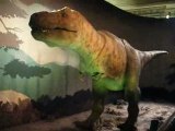 Dinosaurus Rex in natural history museum in London
