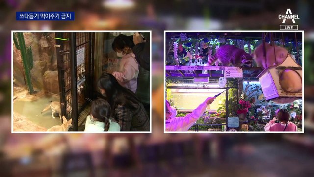 “먹이 주면 안 돼요”…돌고래쇼도 못본다