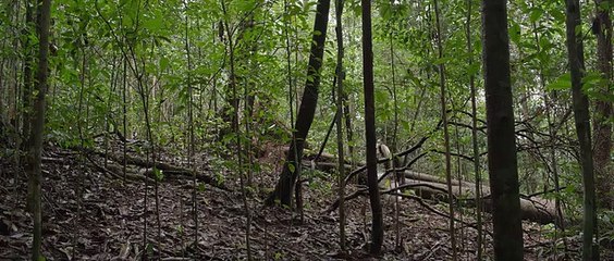 Ela Veezha Poonchira  PART-1